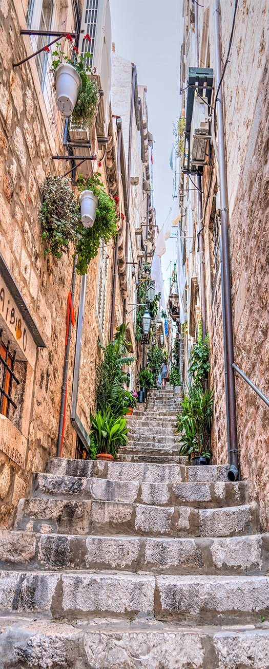 3D branch stone ladder street tall buildings door mural Wallpaper AJ Wallpaper