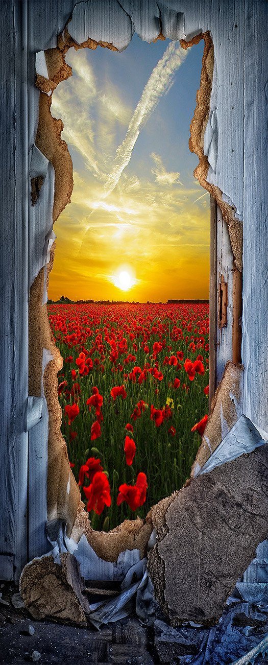 3D flowers outside the wall door mural Wallpaper AJ Wallpaper