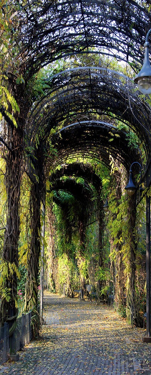 3D green covered arch corridor door mural Wallpaper AJ Wallpaper