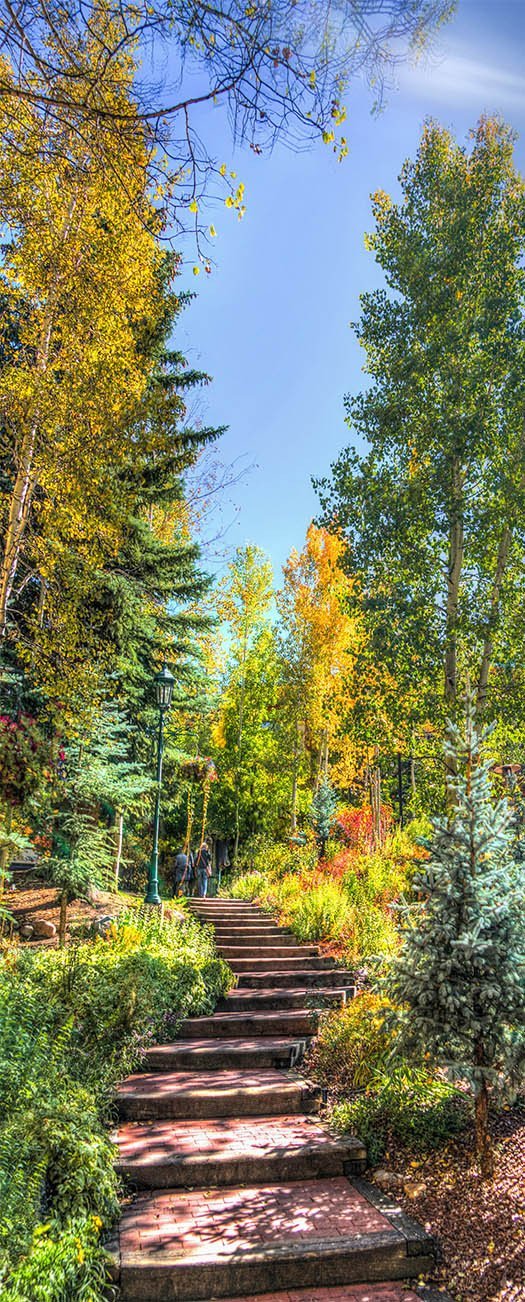 3D stone steps and green oil paintings door mural Wallpaper AJ Wallpaper