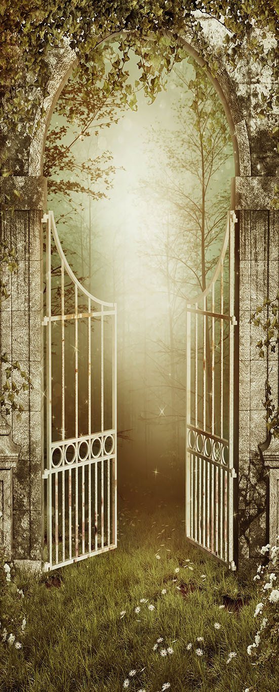 3D iron gate sunshine the green grass door mural Wallpaper AJ Wallpaper