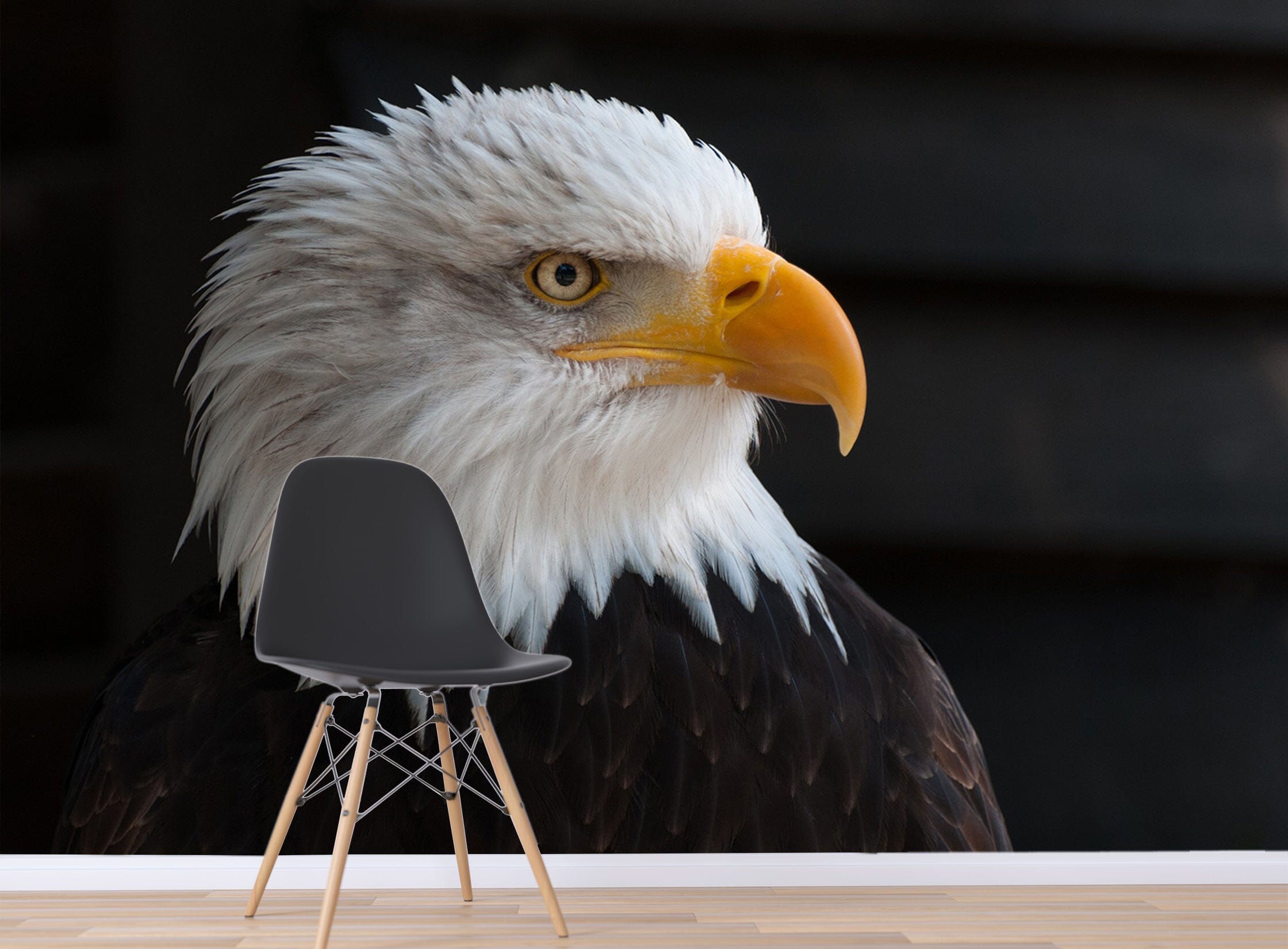 3D White Eagle 138 Wall Murals Wallpaper AJ Wallpaper 2