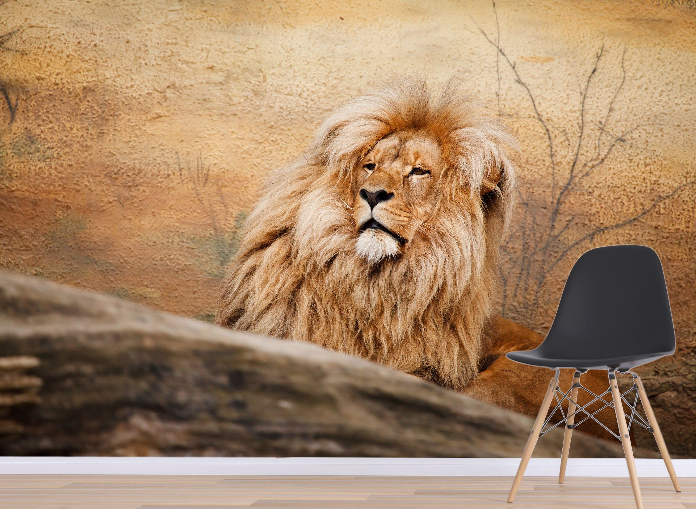 3D Grassland Lion 577 Wallpaper AJ Wallpaper