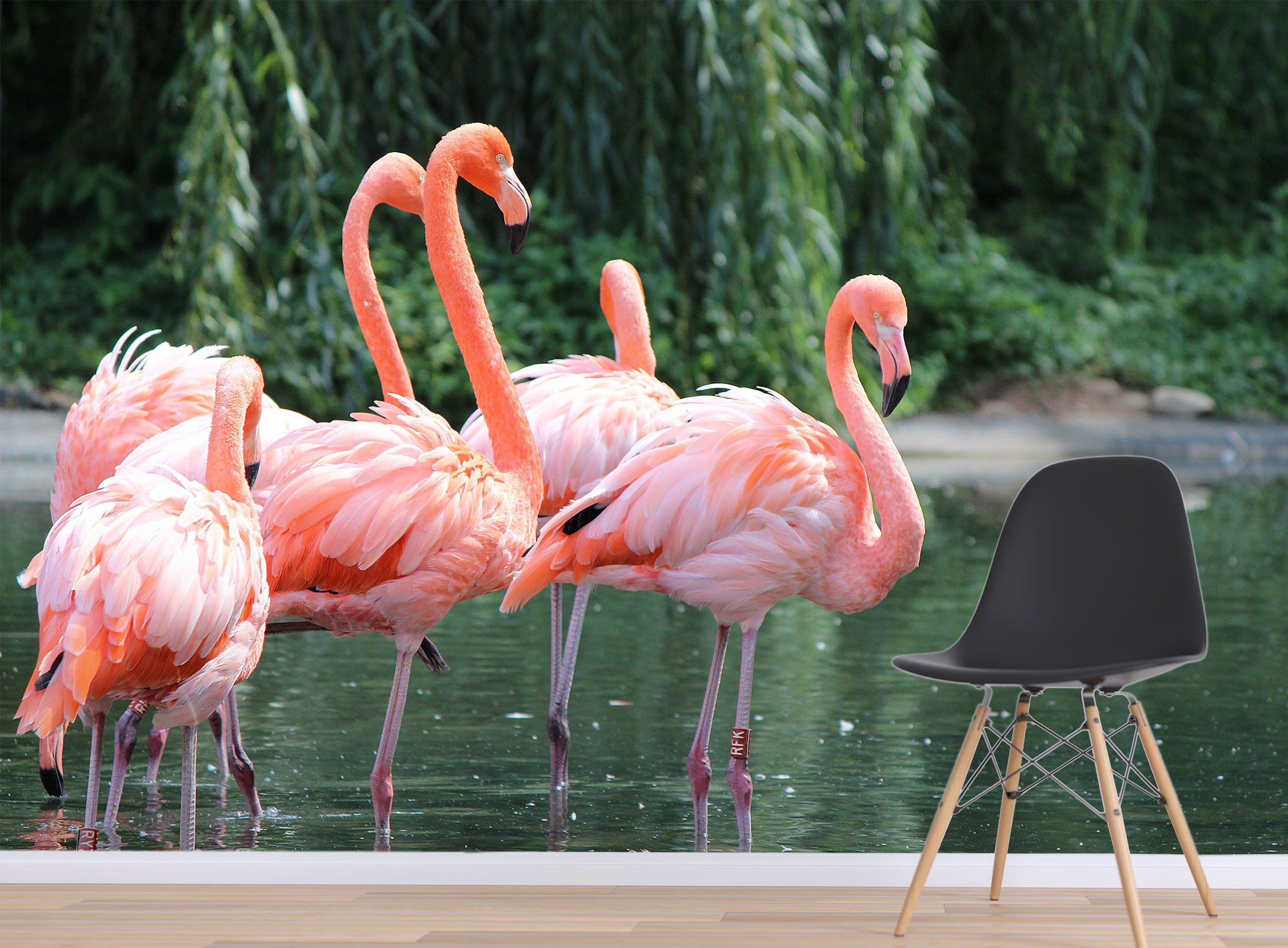 3D Water Flamingo 143 Wallpaper AJ Wallpaper