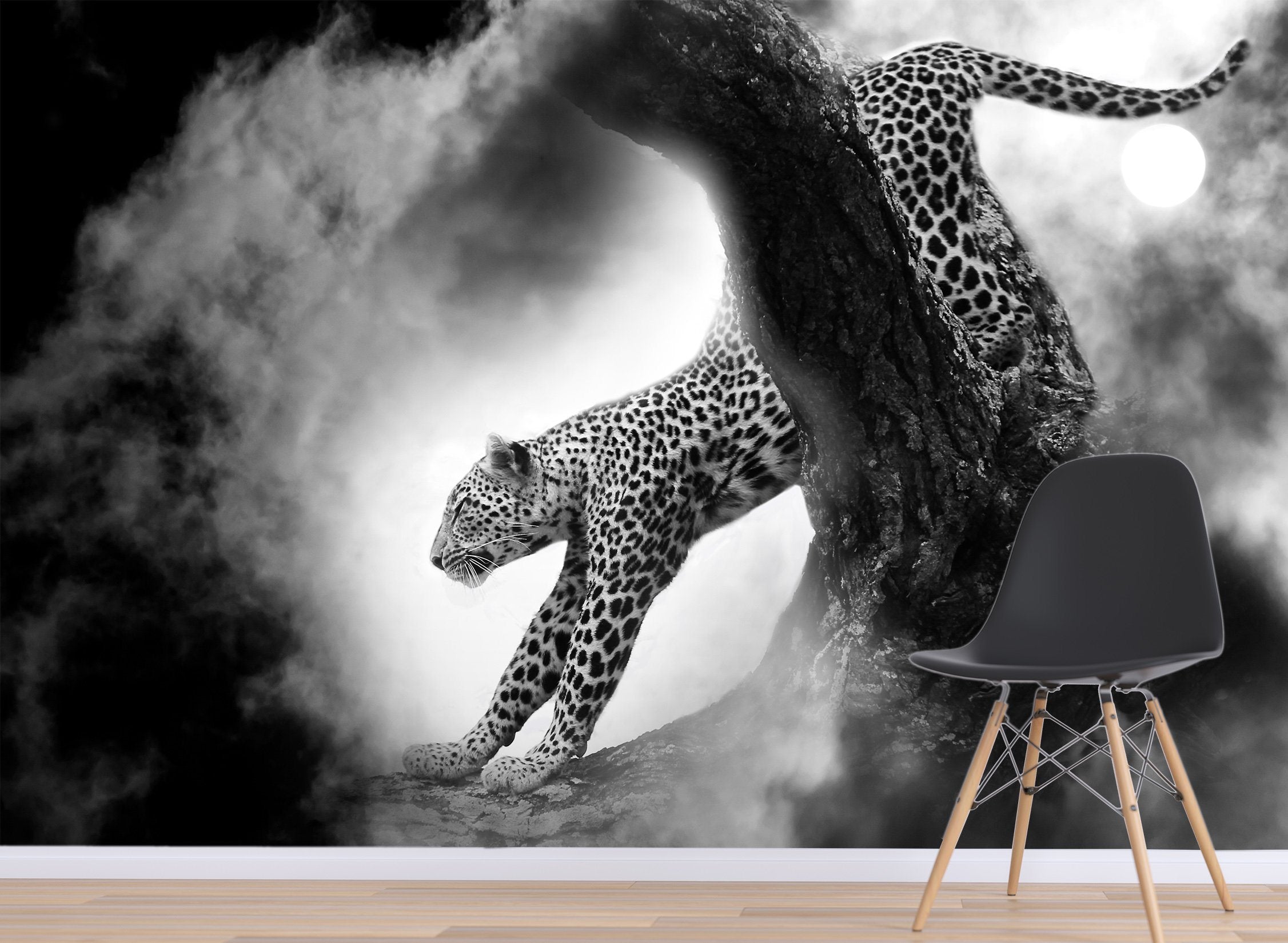 3D Black And White Tiger 208 Wallpaper AJ Wallpaper