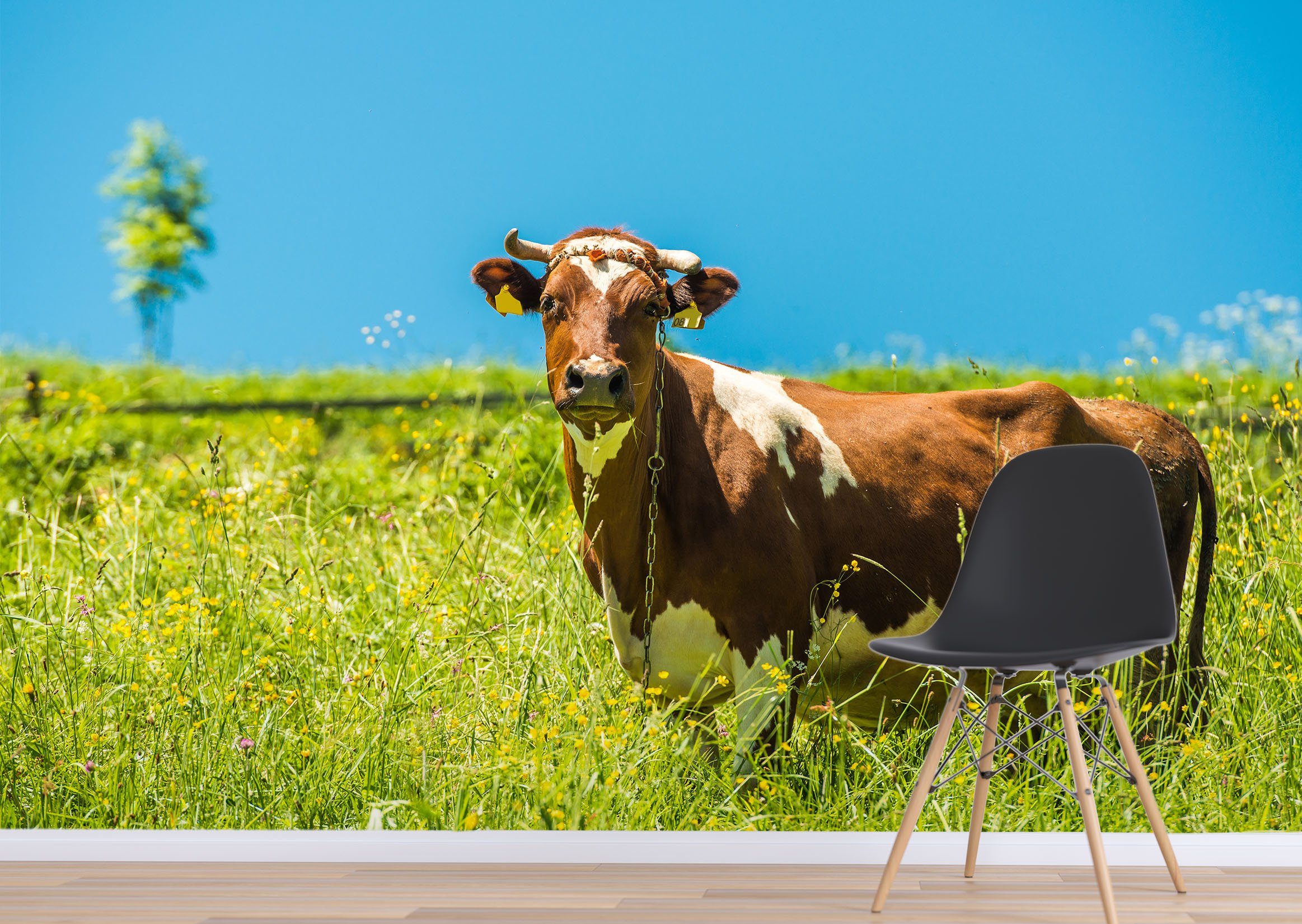 3D Ranch Cows Grassland 463 Wallpaper AJ Wallpaper