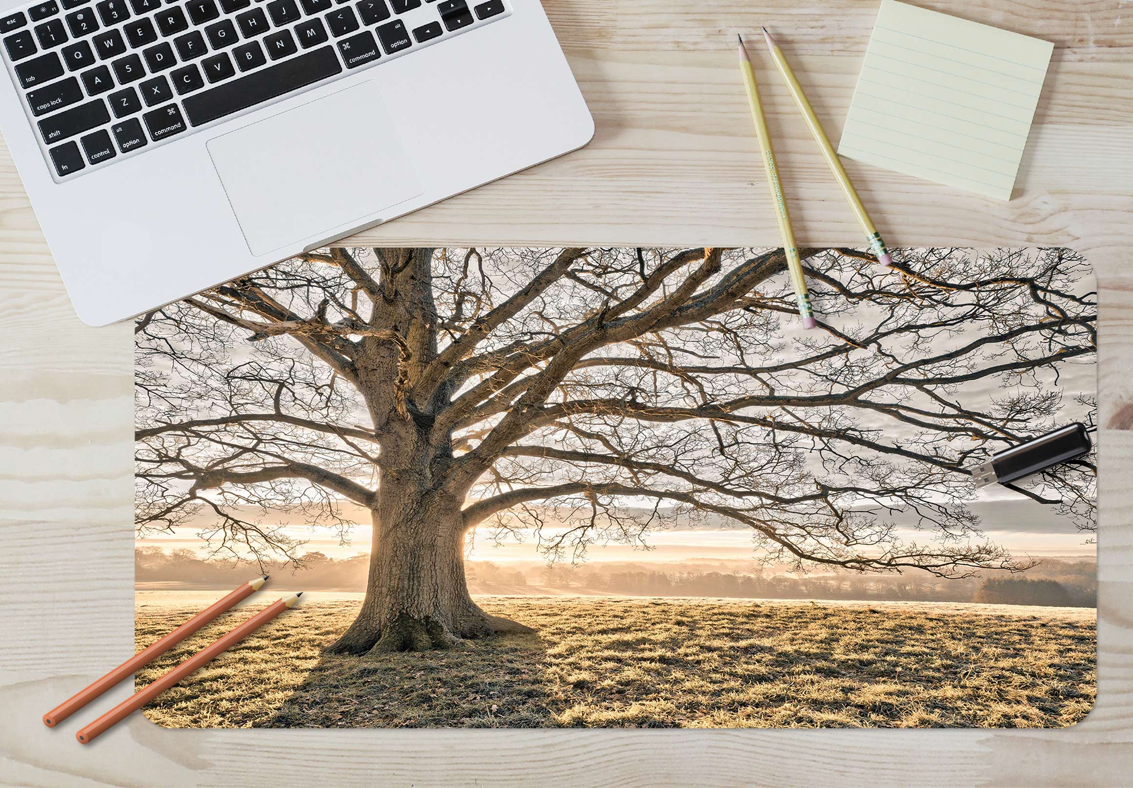 3D Lawn Big Tree 12460 Assaf Frank Desk Mat