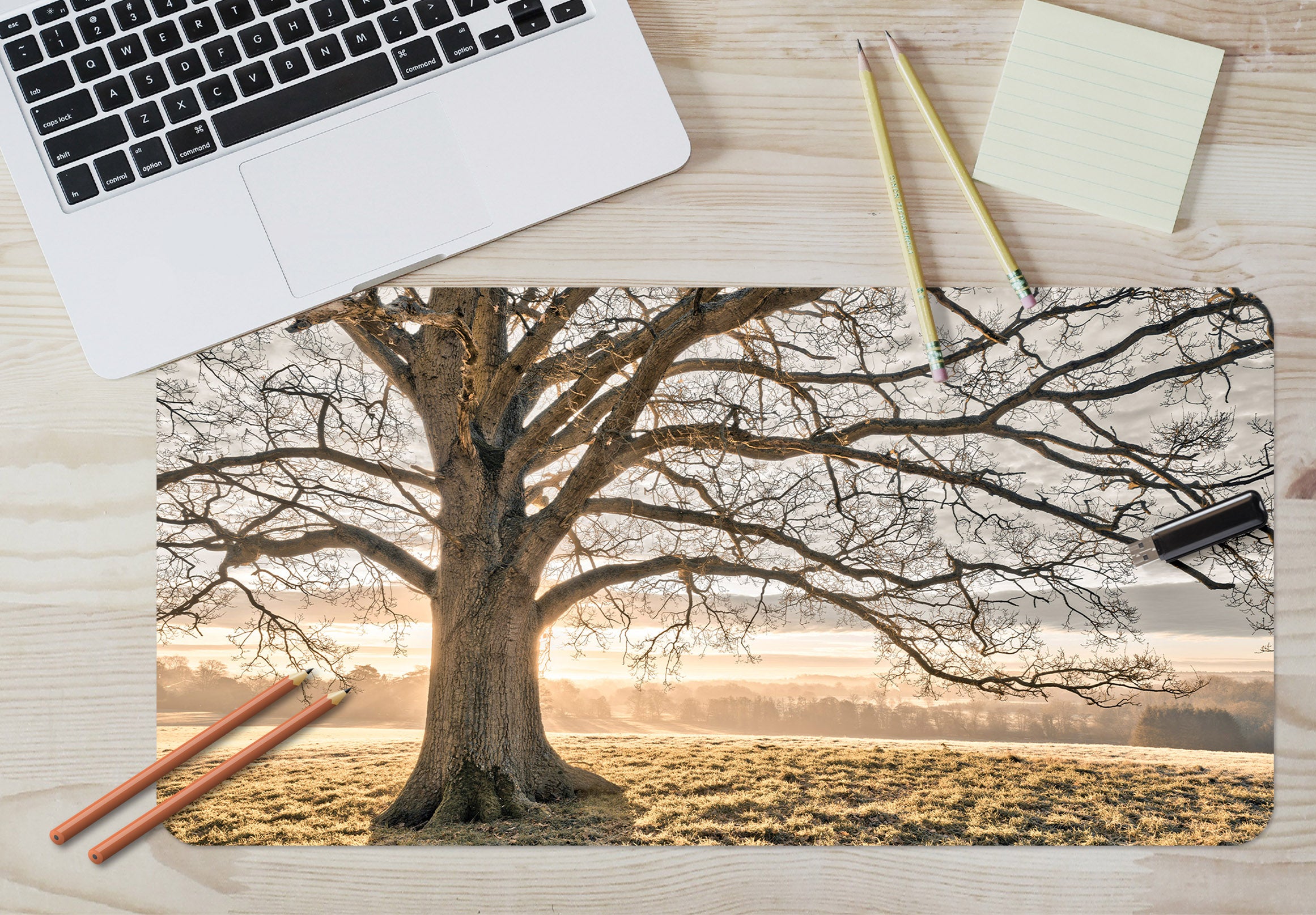 3D Tree Lawn 7765 Assaf Frank Desk Mat