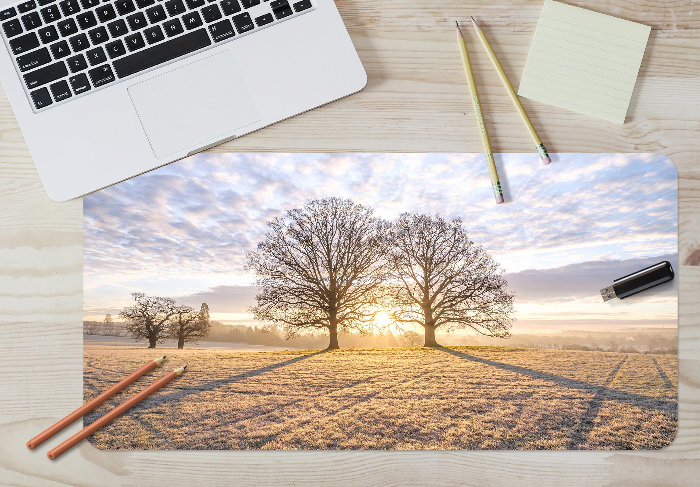 3D Sunshine Tree Shadow Lawn 12456 Assaf Frank Desk Mat