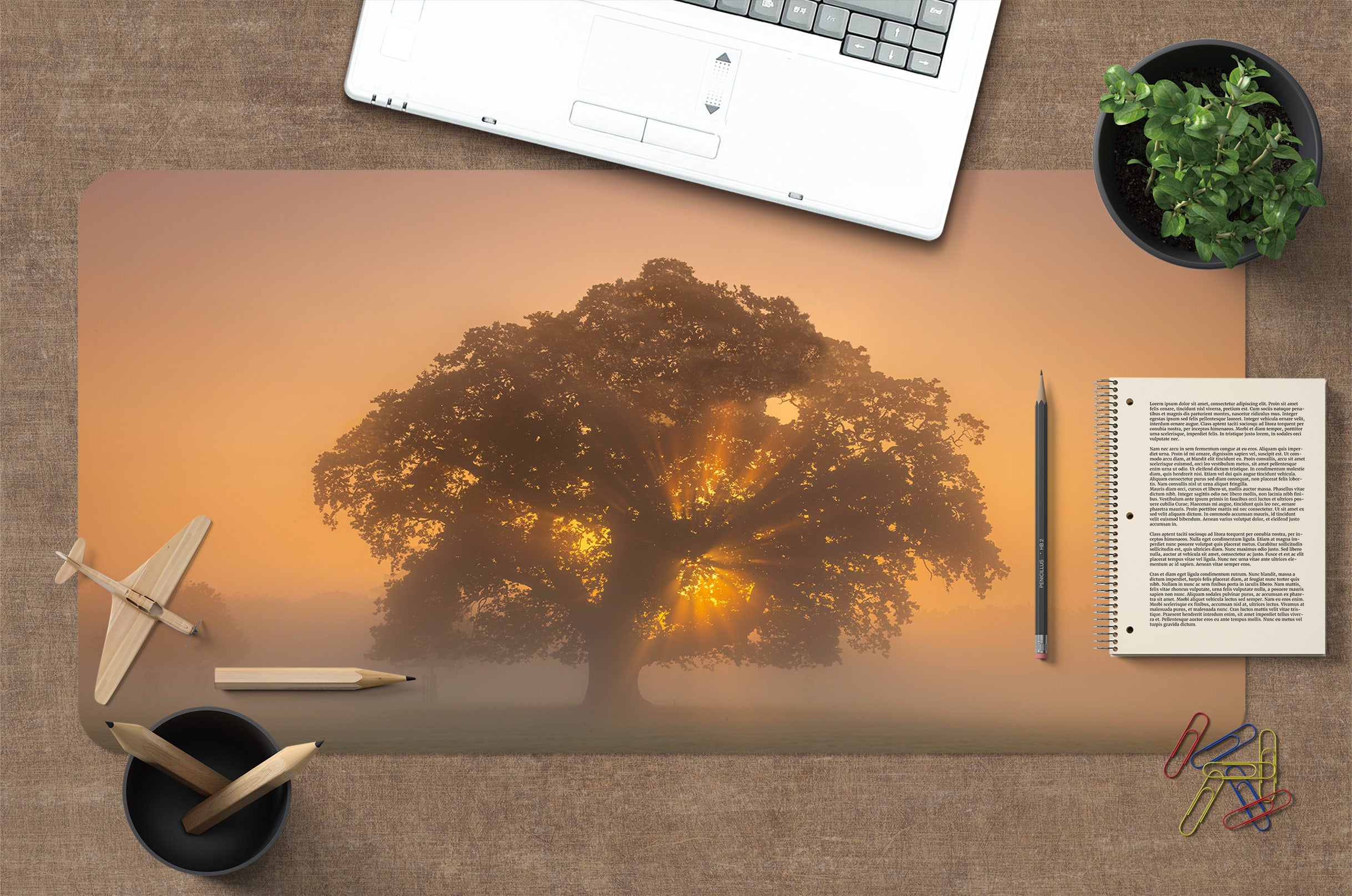 3D Tree Fog 12417 Assaf Frank Desk Mat