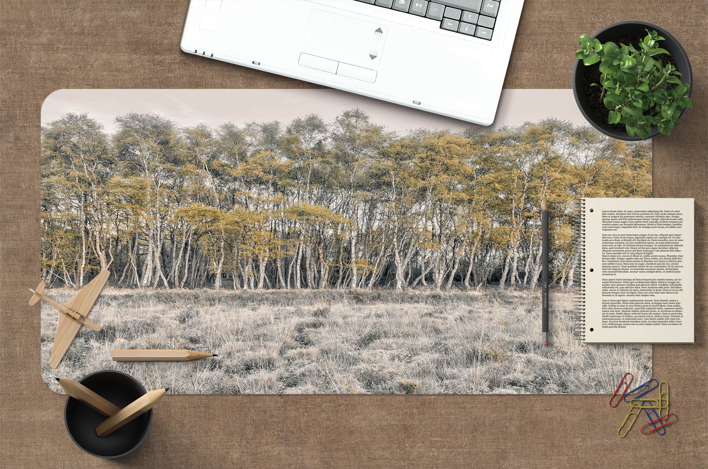 3D Meadow Woods 12434 Assaf Frank Desk Mat