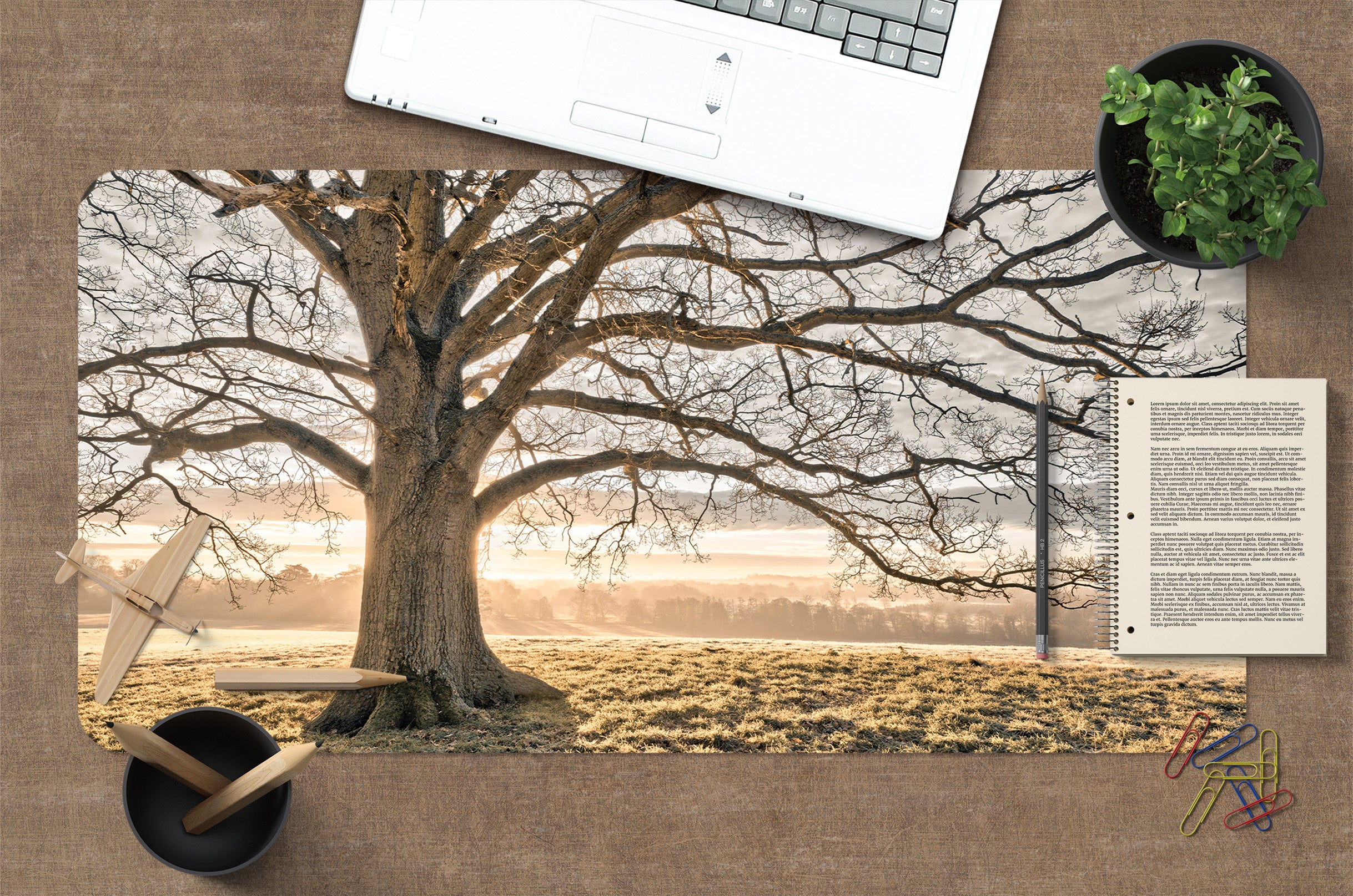 3D Tree Lawn 7765 Assaf Frank Desk Mat