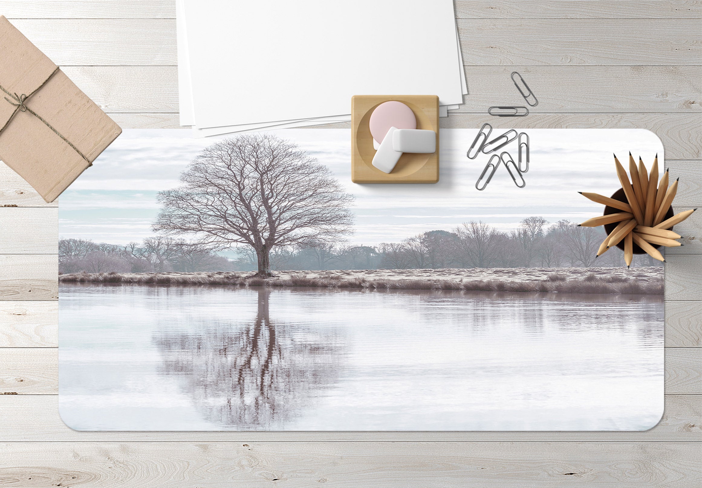 3D Lake Tree Shadow 12453 Assaf Frank Desk Mat