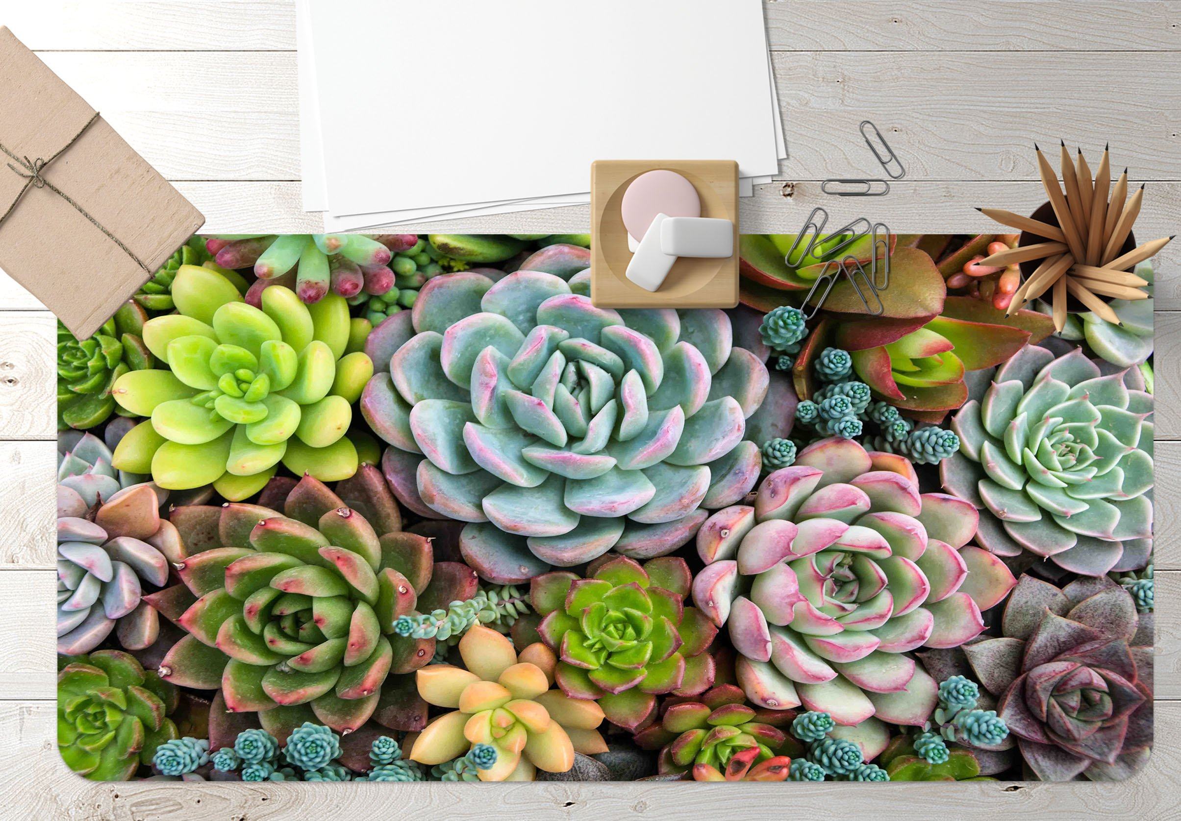 3D Succulent Plants 111 Desk Mat Mat AJ Creativity Home