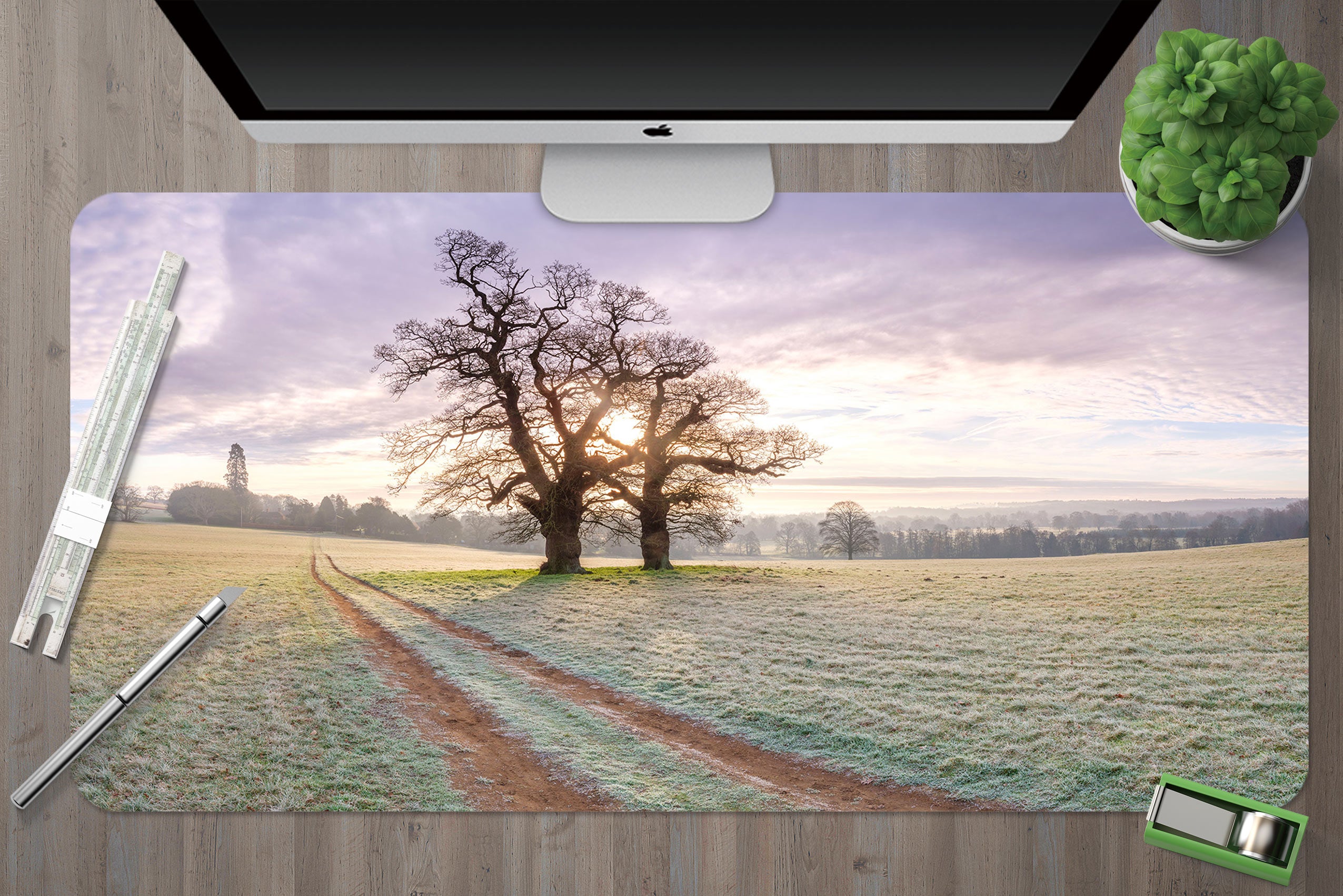 3D Path Lawn Tree 12462 Assaf Frank Desk Mat