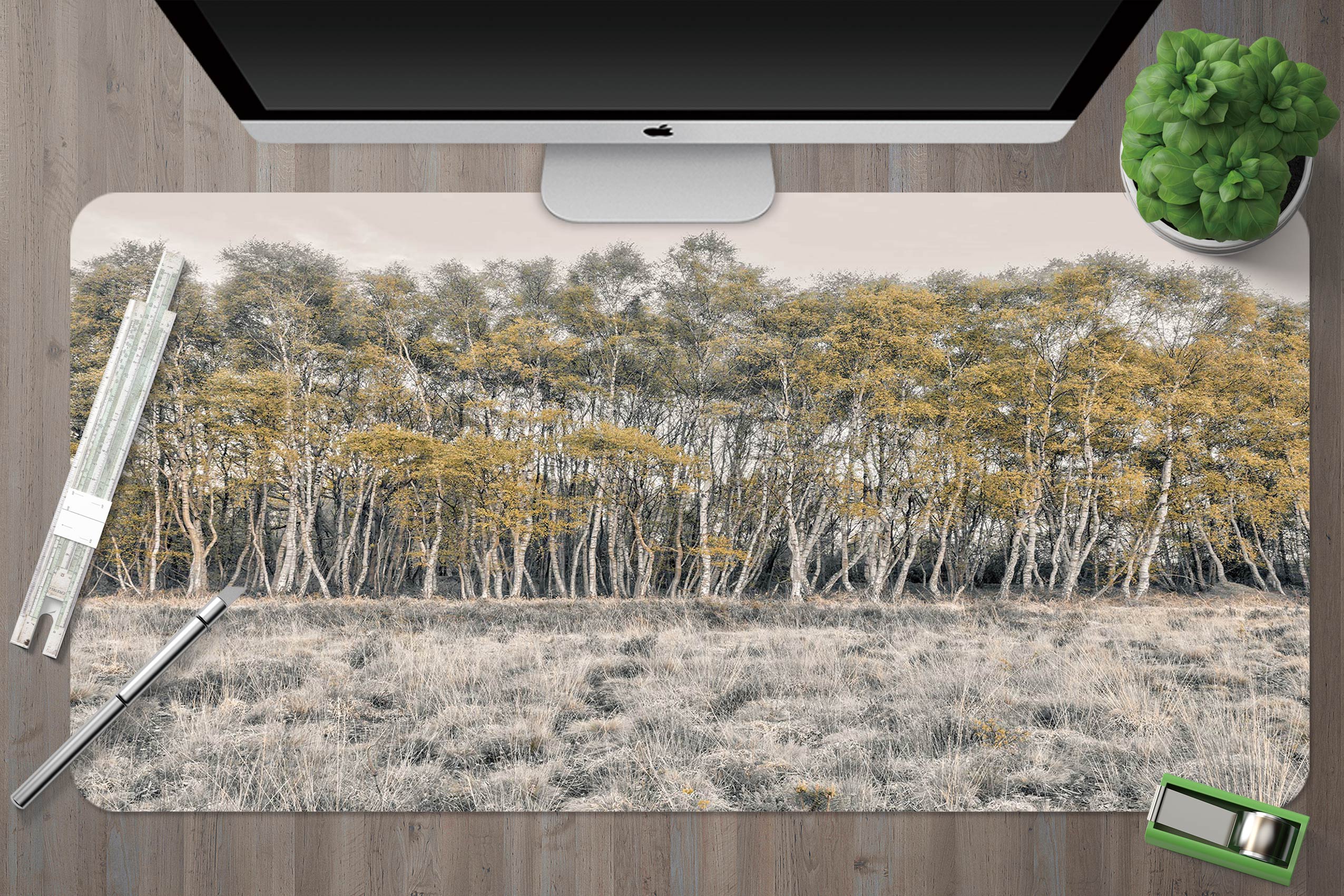 3D Meadow Woods 12434 Assaf Frank Desk Mat