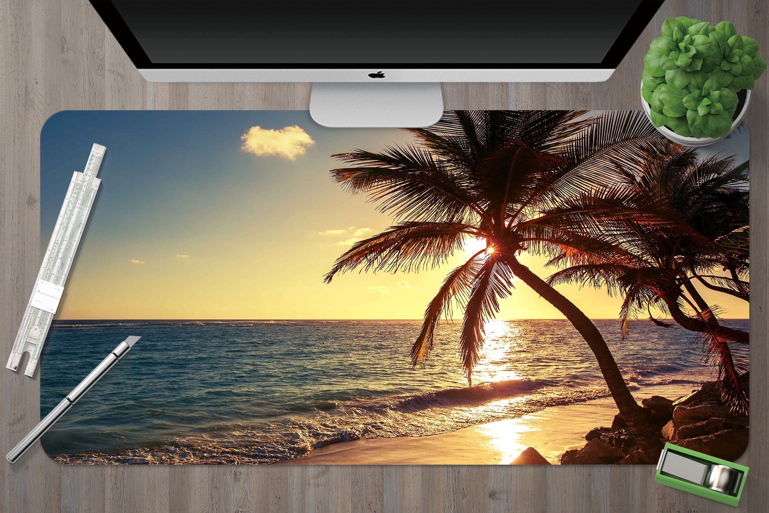 3D Sunshine Coco 201 Desk Mat Mat AJ Creativity Home