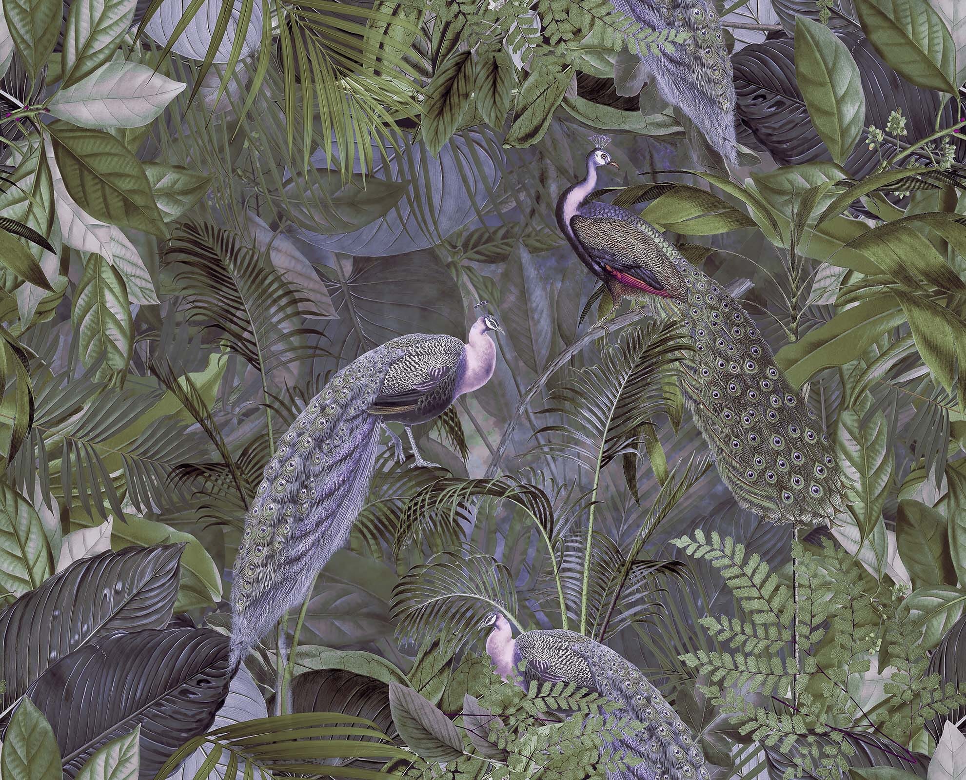 3D Forest Peacock 1012 Andrea haase Wall Mural Wall Murals Wallpaper AJ Wallpaper 2