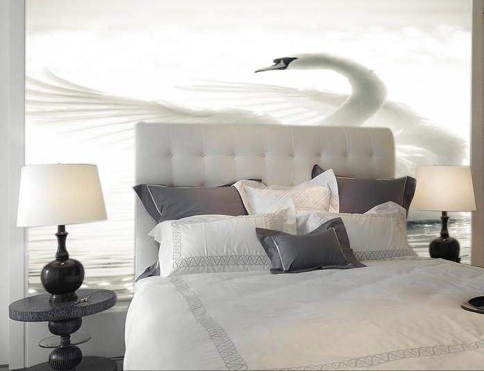 White Swan Wallpaper AJ Wallpaper