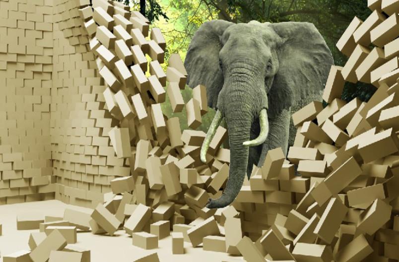 Elephant Wallpaper AJ Wallpaper