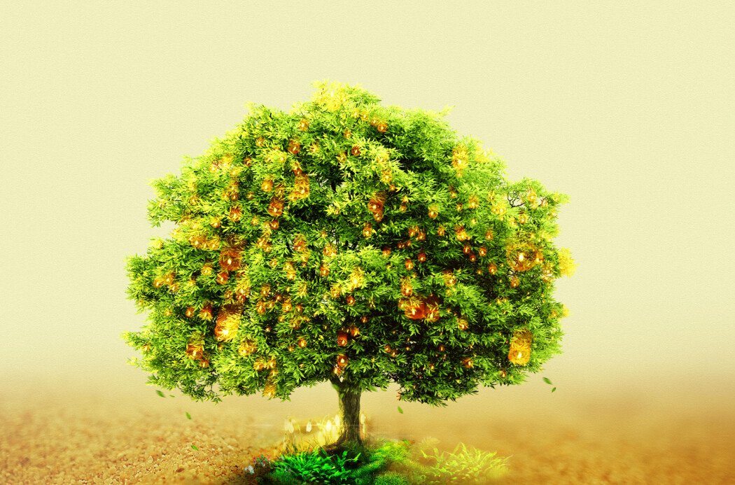 Dazzling Tree Wallpaper AJ Wallpaper