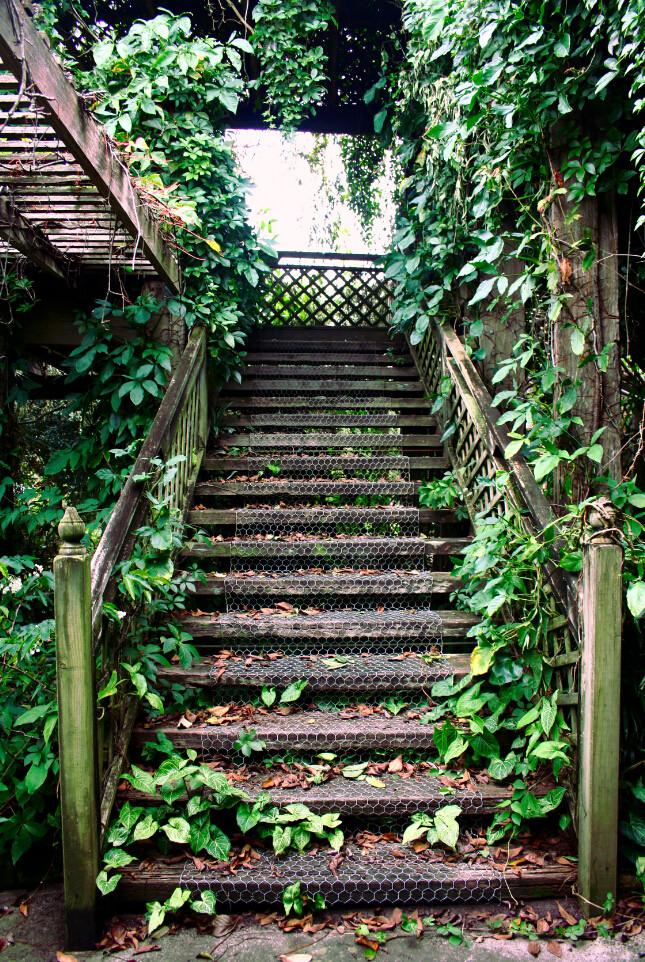 Green Stairs Wallpaper AJ Wallpaper