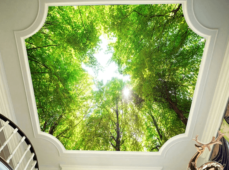 3D Forest Roof Sky Wallpaper AJ Wallpapers