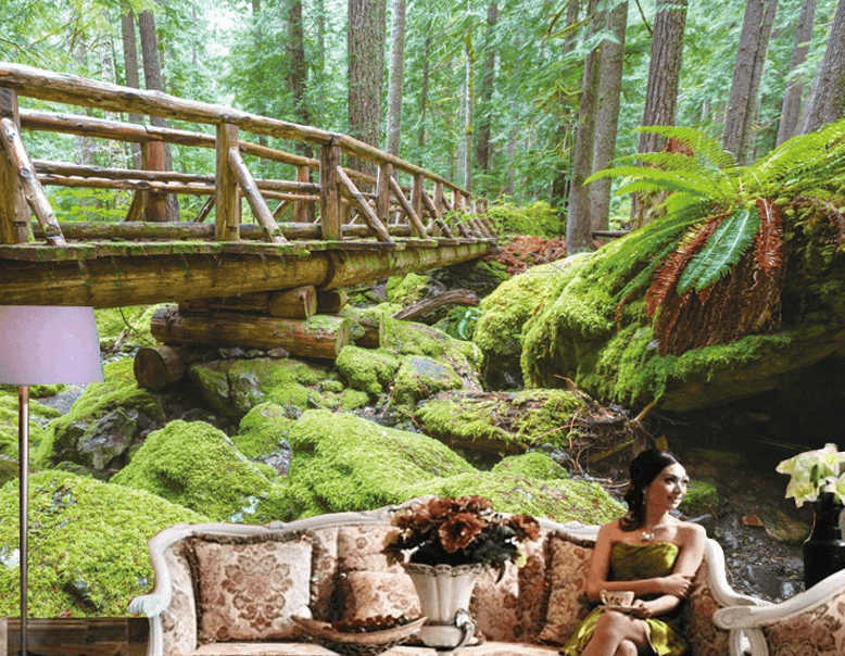 Forest Wooden Bridge Wallpaper AJ Wallpaper