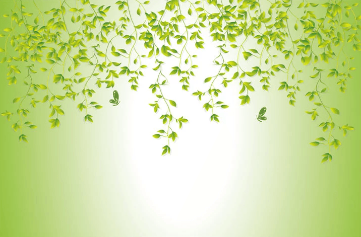 Green Stems 2 Wallpaper AJ Wallpaper