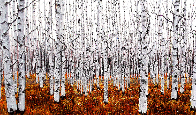 Tree Trunks 2 Wallpaper AJ Wallpaper