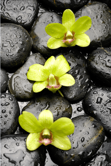 3D Three Flowers Floor Mural Wallpaper AJ Wallpaper 2