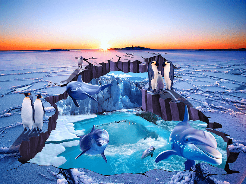 3D Dolphins And Penguins Floor Mural Wallpaper AJ Wallpaper 2