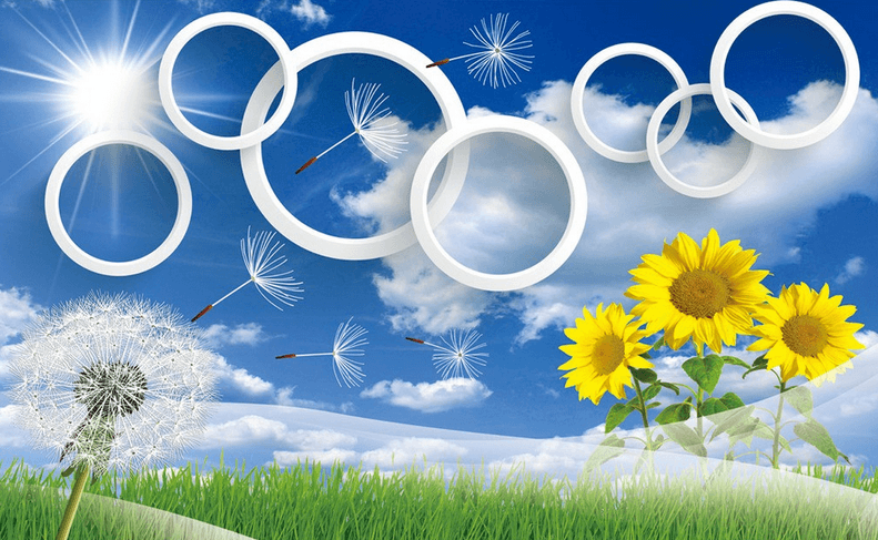 Dandelions And Sunflowers Wallpaper AJ Wallpaper