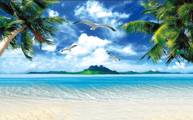 Vast Beach Scenery Wallpaper AJ Wallpaper