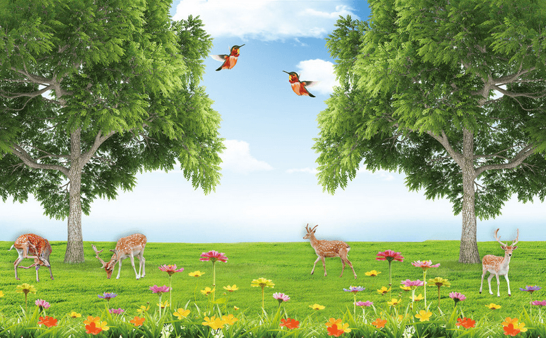 Grassland Animals Wallpaper AJ Wallpaper