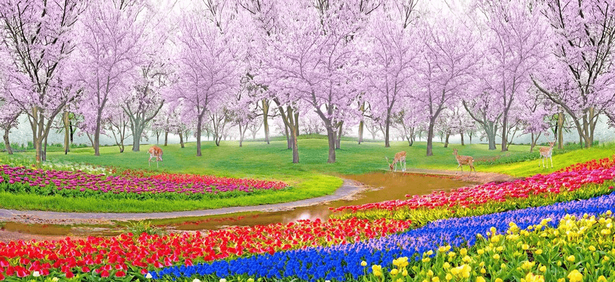Colored Flowers Fields Wallpaper AJ Wallpaper 2