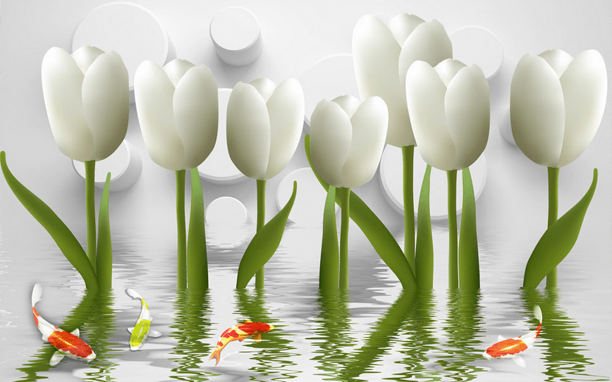 Fresh White Tulips Wallpaper AJ Wallpaper