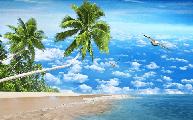 Romantic Sky And Beach Wallpaper AJ Wallpaper