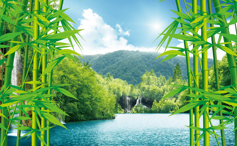 Bamboos And Lake Wallpaper AJ Wallpaper