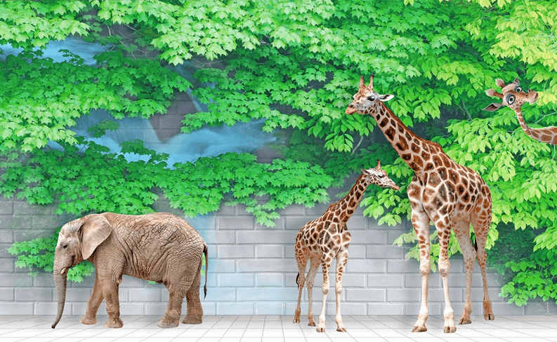 Giraffes And Elephant Wallpaper AJ Wallpaper 2