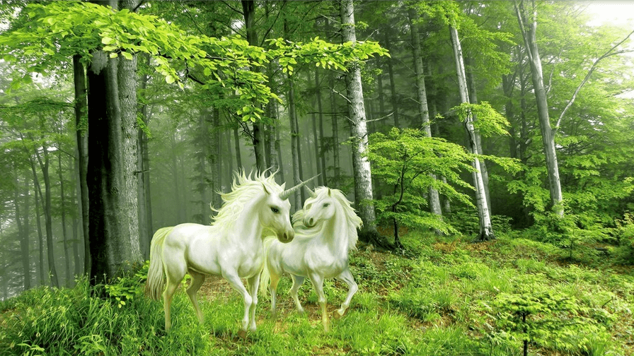 Green Forest Unicorns Wallpaper AJ Wallpaper 2