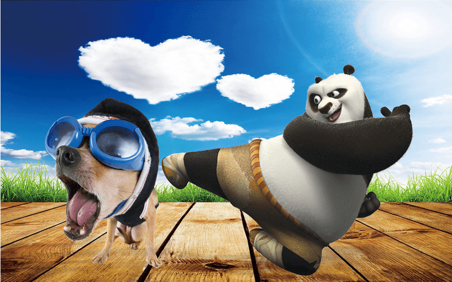 Panda And Dog Wallpaper AJ Wallpaper