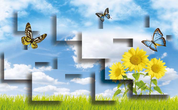 Lawn Beautiful Sunflowers Wallpaper AJ Wallpaper