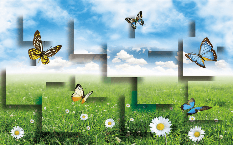 Beautiful Fresh Grassland Wallpaper AJ Wallpaper