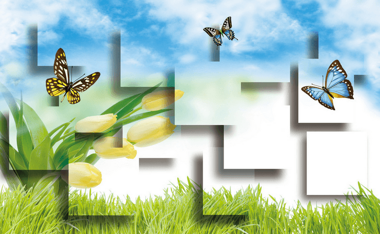 Lawn Butterflies Wallpaper AJ Wallpaper
