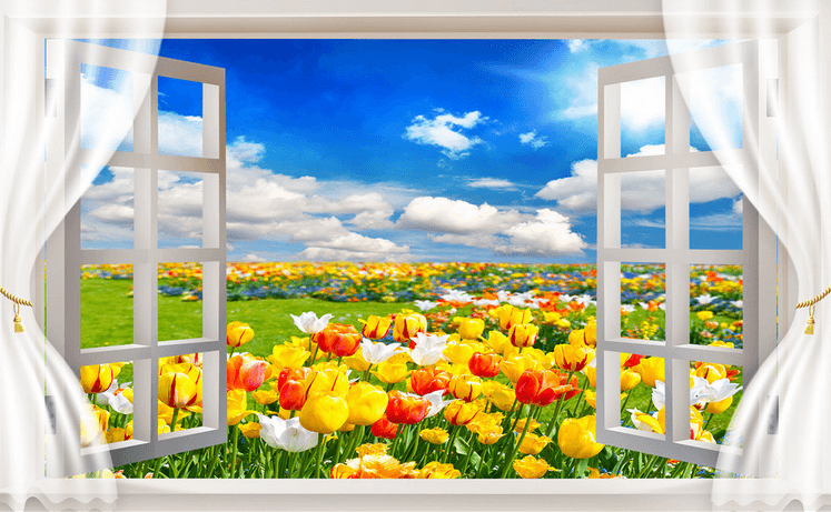 Window Tulips Field Wallpaper AJ Wallpaper