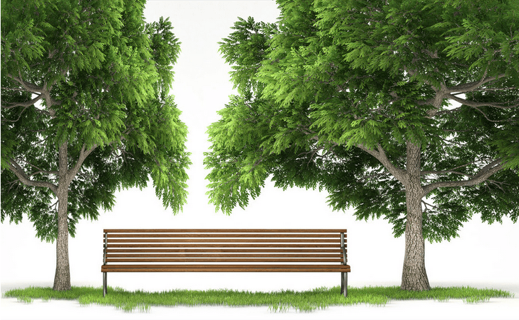 Two Lush Trees Wallpaper AJ Wallpaper