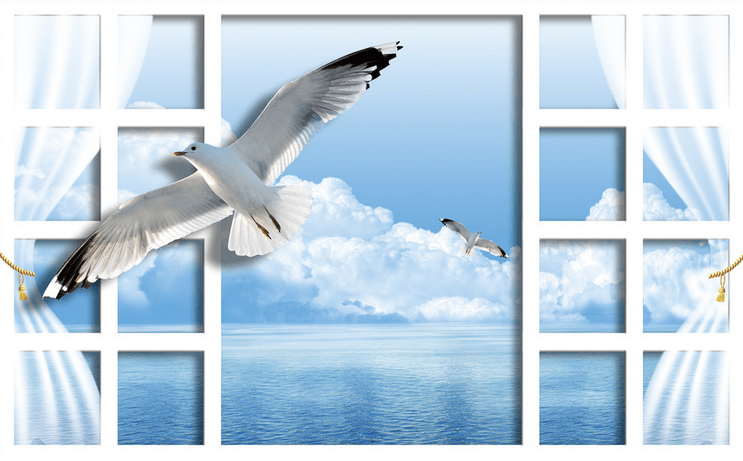 Window Flying Seagulls Wallpaper AJ Wallpaper