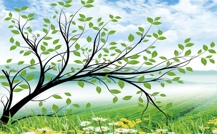 Tea Garden Tree Wallpaper AJ Wallpaper
