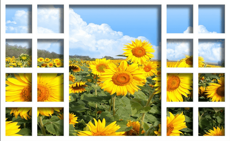 Window Sunflowers Field Wallpaper AJ Wallpaper